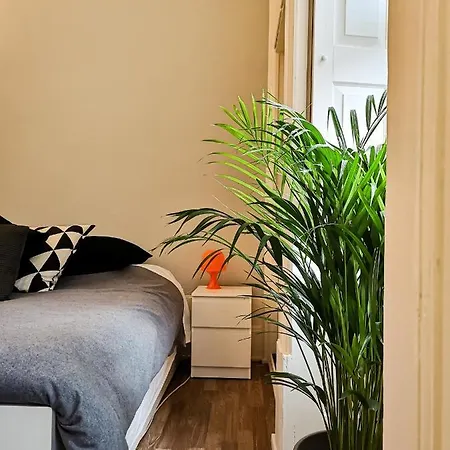 Baixa24 •p1r• Brand New In The Historic Center דירה